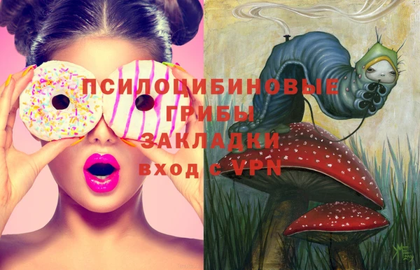mix Аркадак