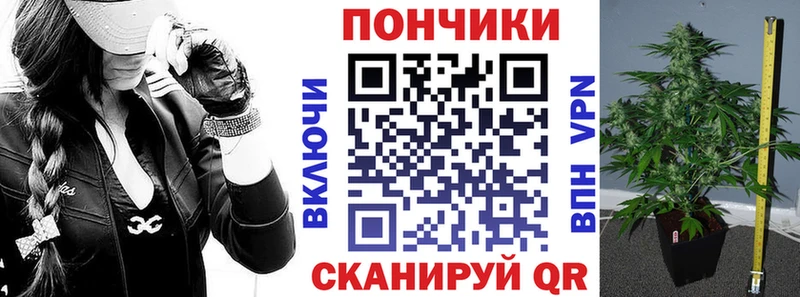 Каннабис THC 21%  Купить где  Новодвинск 